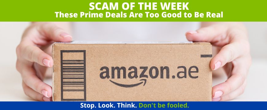 Recent Scams Article: These Prime Deals Are Too Good to Be Real