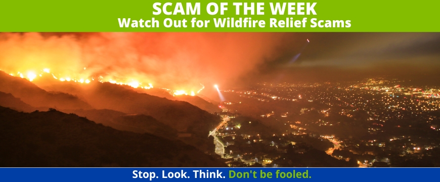 Recent Scams Article: Watch Out for Wildfire Relief Scams