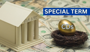 Special Term CDs