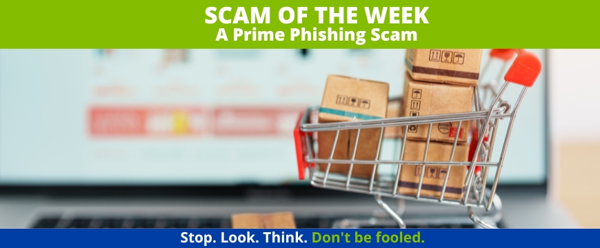 Recent Scams Article: A Prime Phishing Scam